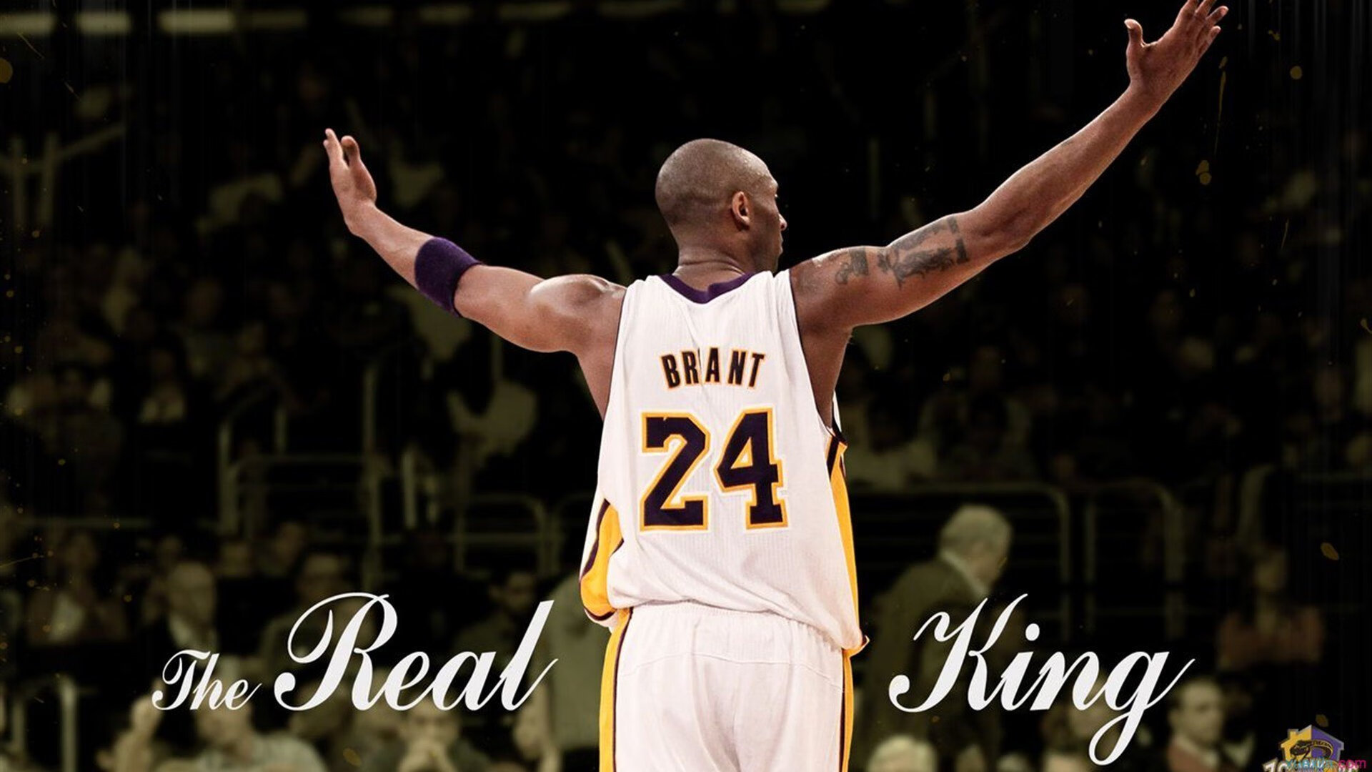 冰与火的对决，努涅斯在冰岛与尼日利亚的碰撞中完成自我救赎